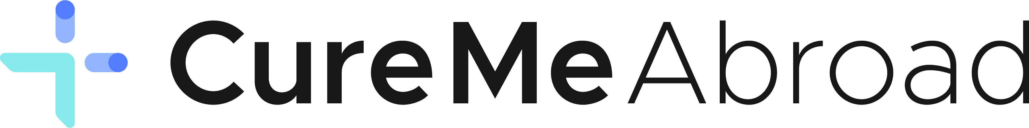 CureMeAbroad: Building the Medical Travel Patient Journey