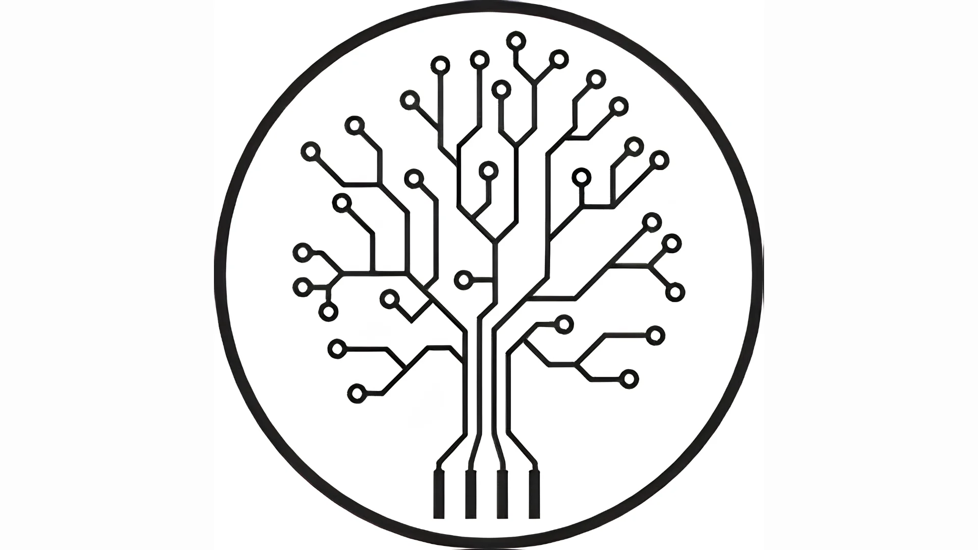 Root Ventures
