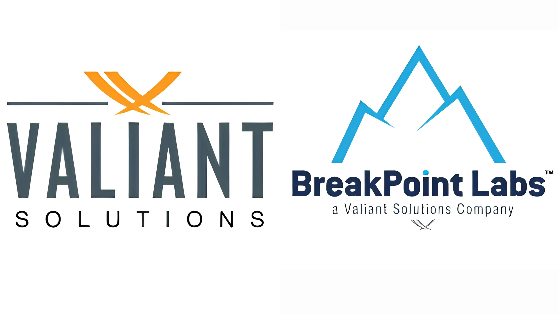 Valiant Solutions Acquires BreakPoint Labs to Expand Federal Cybersecurity Platform