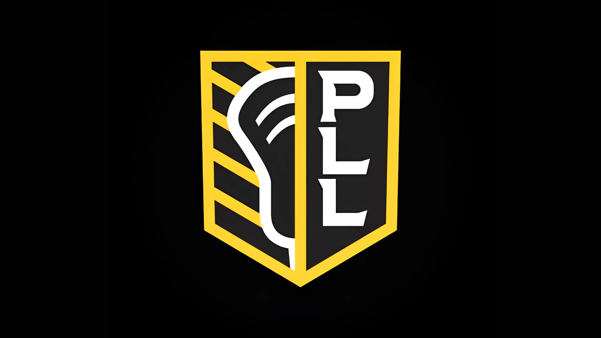 Premier Lacrosse League Raises $100M Series E as Sports Media Bet